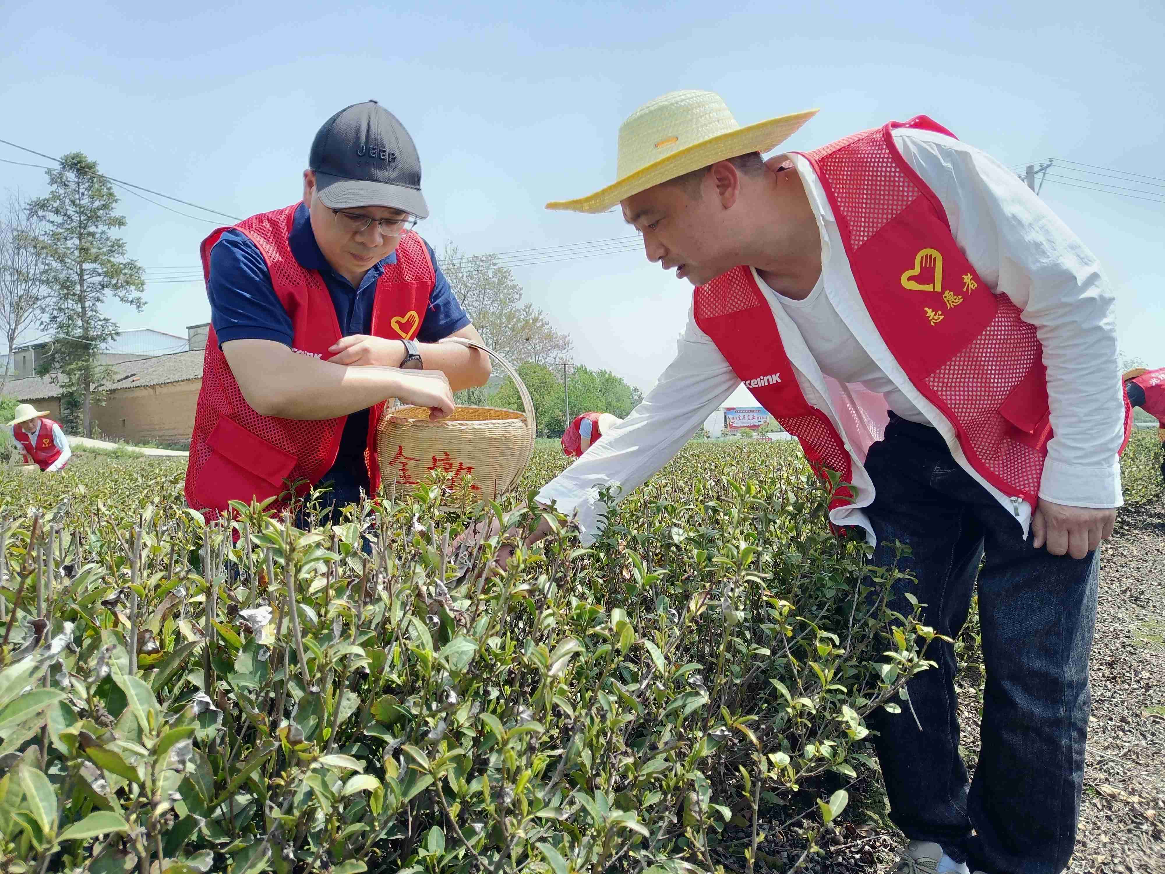welcometo接待光临888集团(中国)有限公司